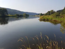 Weser (Bodenwerder-Heinsen)-4