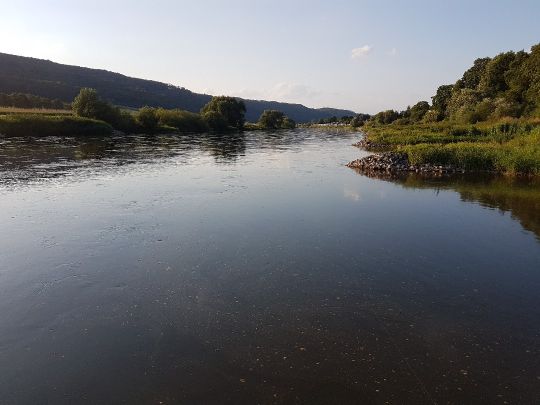 Weser (Bodenwerder-Heinsen)-2