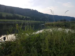Weser (Bodenwerder-Heinsen)-4