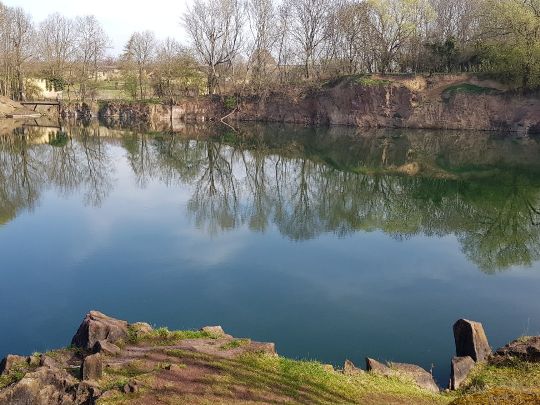 Steinbruch (Wallwitz)-4