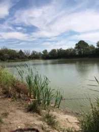 Tensa (Holzhausen)-2