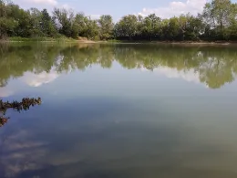 Tensa (Holzhausen)-4