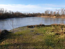 Tensa (Holzhausen)-3