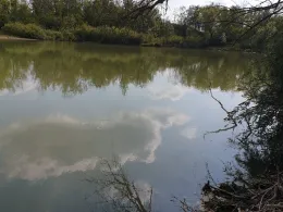 Tensa (Holzhausen)-1