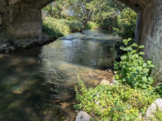 Moosbach (Übersee)-2