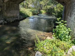 Moosbach (Übersee)-2