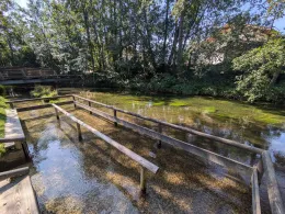 Moosbach (Übersee)-3