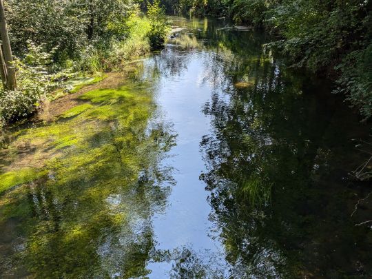 Moosbach (Übersee)-4