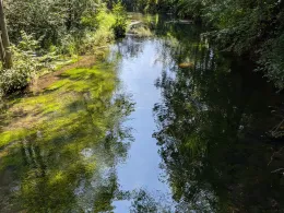 Moosbach (Übersee)-4