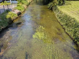 Moosbach (Übersee)-1