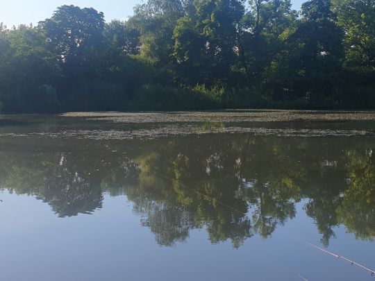 Angelteiche Spreewehr (Cottbus)-4