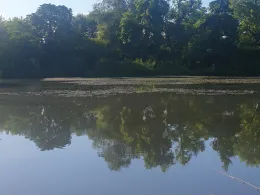 Angelteiche Spreewehr (Cottbus)-4