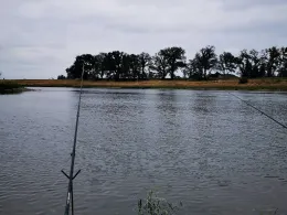 Elbe (Belgern-Schildau)-4