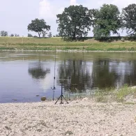 Elbe (Belgern-Schildau)