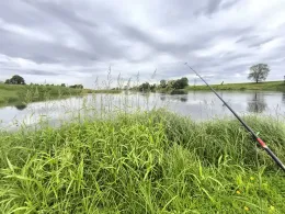 Elbe (Belgern-Schildau)-2