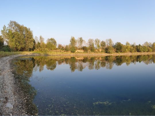 Grindsee