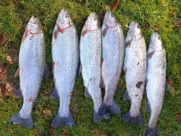 Angelpark Mülmischtal-1