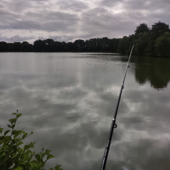 Auf den Linden (Holtmoor)-2