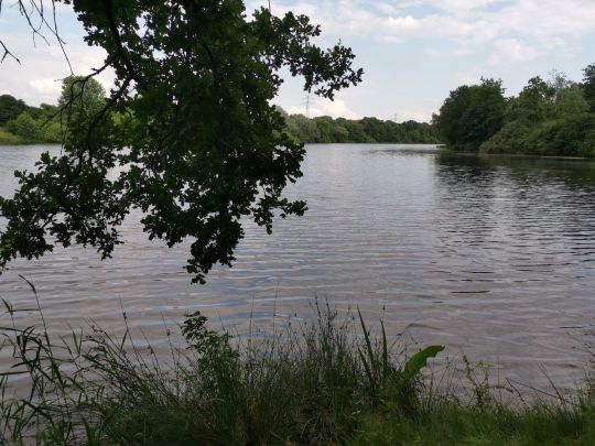 Drielaker See ALLE ANGELN