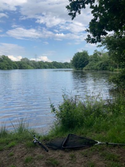 Drielaker See ALLE ANGELN