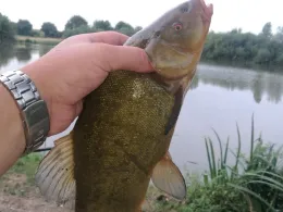 Eschkuhlen (Hassel)-1