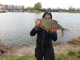 Regenrückhaltebecken Greifswald