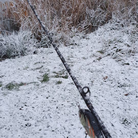 Regenrückhaltebecken Greifswald-1