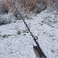 Regenrückhaltebecken Greifswald-1
