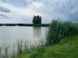 Lenzenweiher (Wilhermsdorf)-1