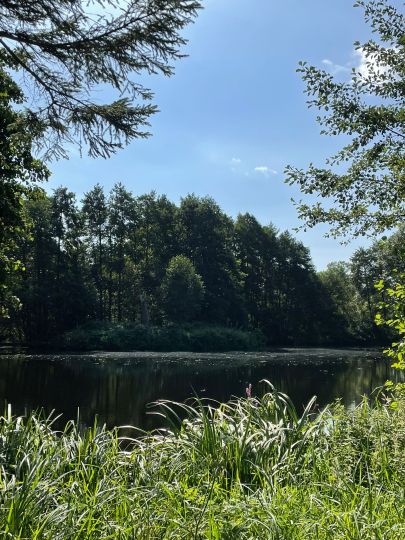 49+ Hommerich Angel Teich, Fischarten wie regenbogenforelle,