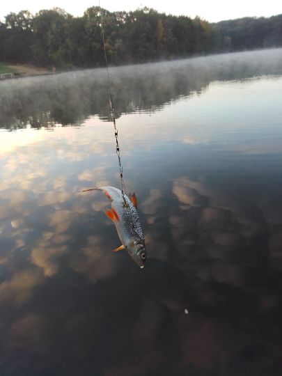 Waldsee (Uerdingen)-1