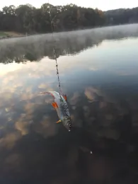 Waldsee (Uerdingen)-1