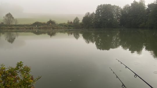 Erlensee (Lain am See)-3