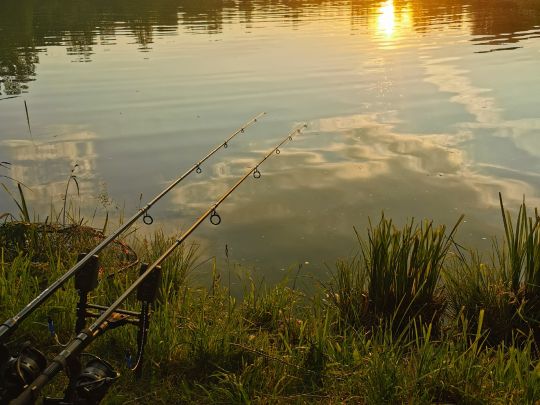 Erlensee (Lain am See) angeln