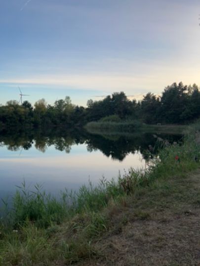 Teich 1 des ASV-Dollbergen (Uetze)-2