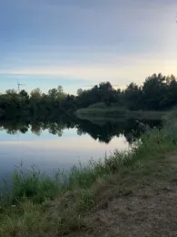 Teich 1 des ASV-Dollbergen (Uetze)-2