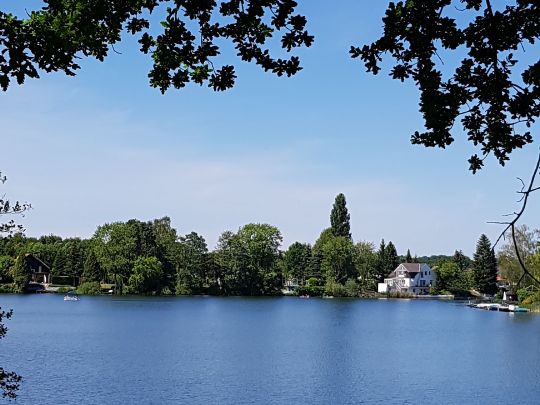 Ternscher See