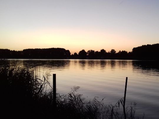 Müritzarm angeln