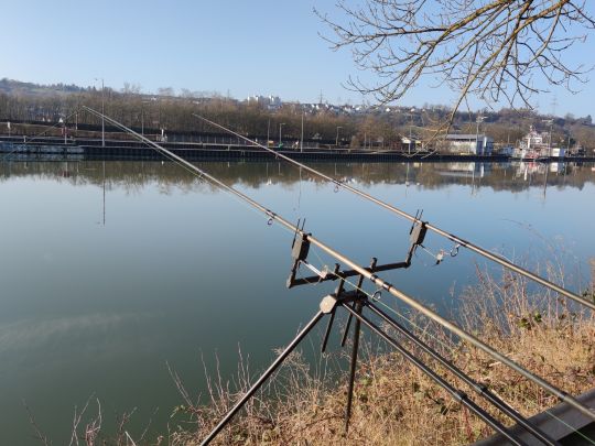 Neckar (Esslingen am Neckar)-2