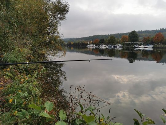 Neckar (Esslingen am Neckar)-3