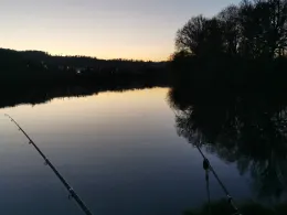 Neckar (Esslingen am Neckar)-4