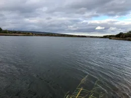 Kiesgrube K1 (Bad Frankenhausen)-2