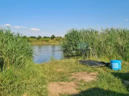 Kiesgrube K1 (Bad Frankenhausen)