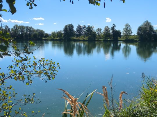 Baggersee Burg (Ursberg)-3