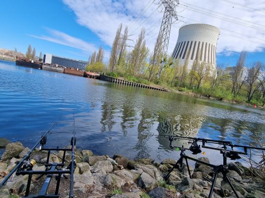 Spree (Berlin-Spandau)-2