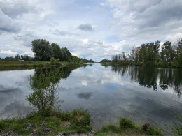 Lech (Meitingen)-3