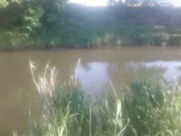 Ulster (Unterbreizbach)-1