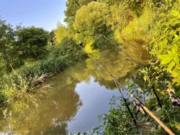 Ulster (Unterbreizbach)-2