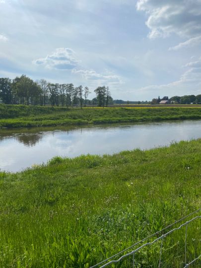 Hase (Badbergen)