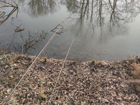 Alter Neckar (Altbach)-1